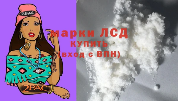 ECSTASY Билибино