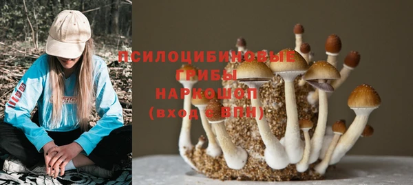 каннабис Лабытнанги